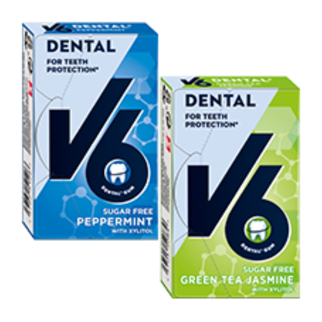 2 x V6 24g