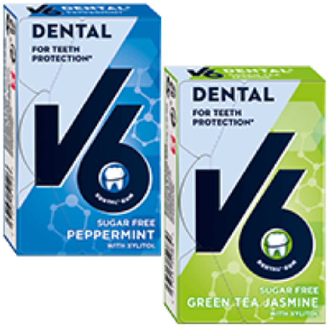 2 x V6 24g