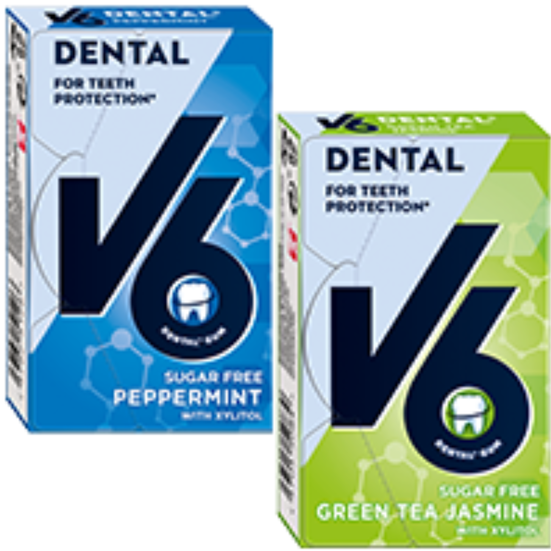 2 x V6 24g